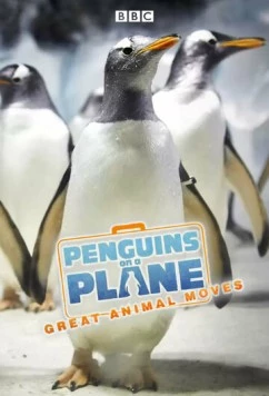 Пингвины на самолете: Передвижение великих животных / Penguins on a Plane: Great Animal Moves (2014) cериал скачать через торрет бесплатно в хорошем качестве