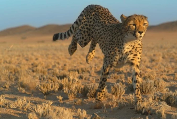 Свирепые королевы (2020) скачать торрент файл Свирепые королевы (2020) сериал скачать торрент файл