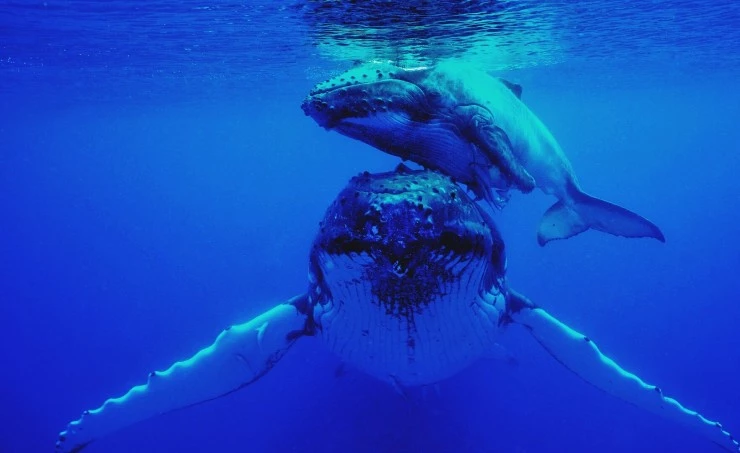 Земля без суши (2023) скачать торрент файл Земля без суши (2023) сериал скачать торрент файл