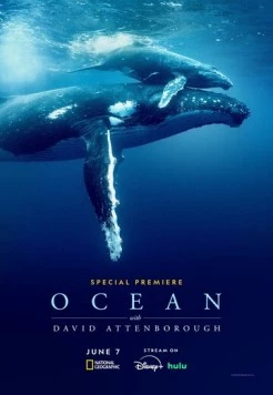 Дэвид Аттенборо: Океан / Ocean with David Attenborough (2025) фильм скачать через торрет бесплатно в хорошем качестве