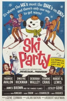 Веселье на лыжах / Ski Party (1965) фильм скачать через торрет бесплатно в хорошем качестве