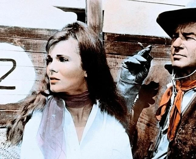 Долина Гванги (1969) в хорошем качестве скачать торрент файл Долина Гванги (1969) фильм в хорошем качестве скачать торрент файл