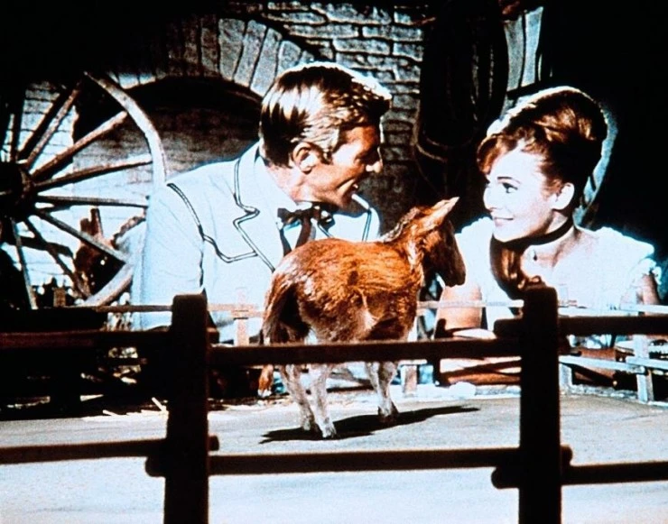 Долина Гванги (1969) скачать торрент файл Долина Гванги (1969) фильм скачать торрент файл