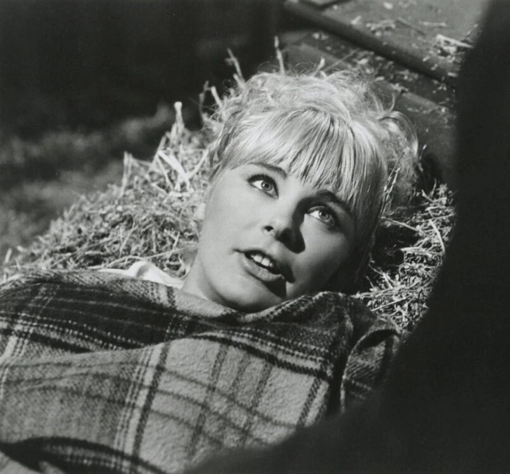 Искусство любви (1965) скачать торрент бесплатно Искусство любви (1965) фильм скачать торрент бесплатно