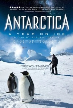 Антарктида: Год на льду / Antarctica: A Year on Ice (2013) фильм скачать через торрет бесплатно в хорошем качестве
