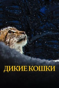 Дикие кошки / Lynx (2021) фильм скачать через торрет бесплатно в хорошем качестве