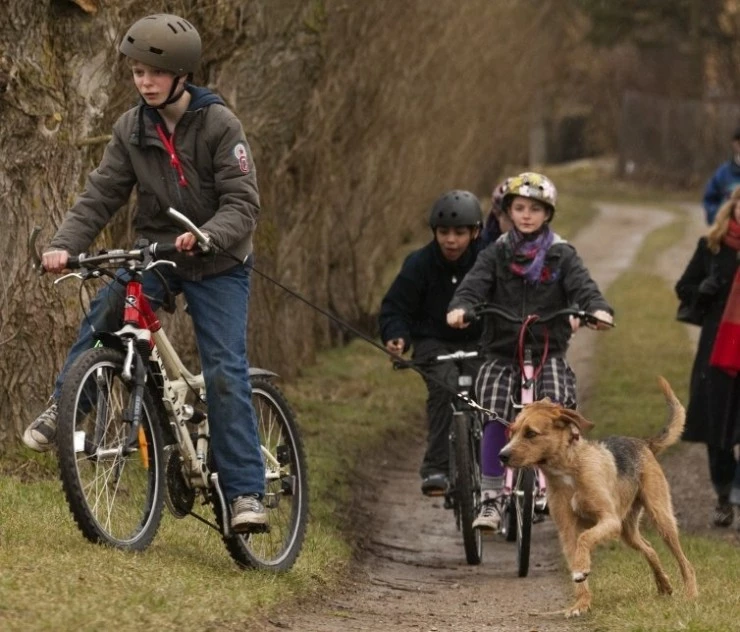 Шторм (2009) скачать торрент файл Шторм (2009) фильм скачать торрент файл