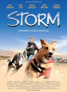 Шторм / Storm (2009) фильм скачать через торрет бесплатно в хорошем качестве