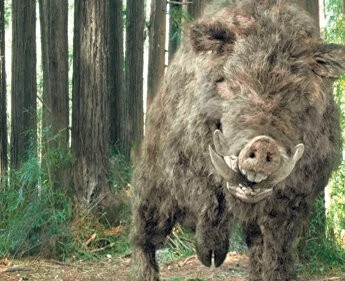 Кабан-убийца (2009) скачать торрент файл Кабан-убийца (2009) фильм скачать торрент файл