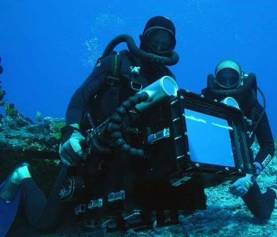 Акулы 3D (2004) в хорошем качестве скачать торрент файл Акулы 3D (2004) фильм в хорошем качестве скачать торрент файл