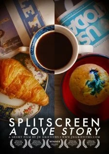 История любви на разделенном экране / Splitscreen: A Love Story (2011) фильм скачать через торрет бесплатно в хорошем качестве