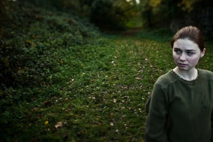 На темной половине (2012) скачать торрент файл На темной половине (2012) фильм скачать торрент файл