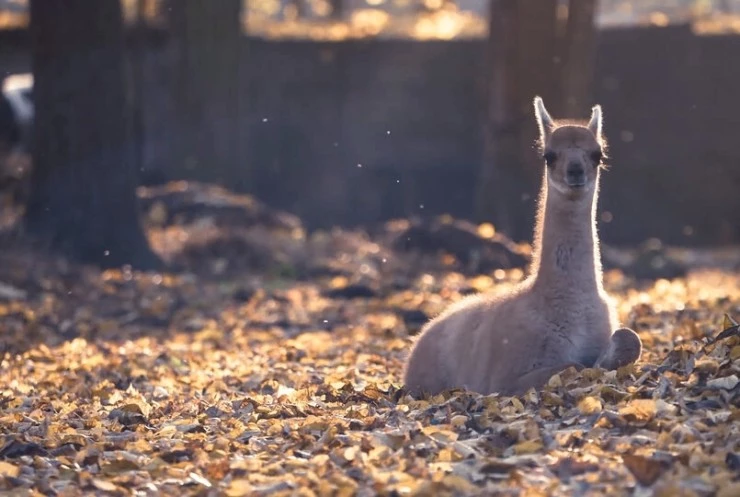 Область высокого полета (2019) в хорошем качестве скачать торрент файл Область высокого полета (2019) фильм в хорошем качестве скачать торрент файл