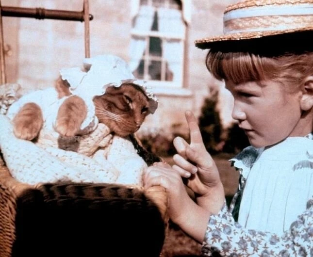 Три жизни Томазины (1963) скачать торрент бесплатно Три жизни Томазины (1963) фильм скачать торрент бесплатно