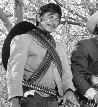 Вилья в седле (1968) скачать торрент бесплатно Вилья в седле (1968) фильм скачать торрент бесплатно