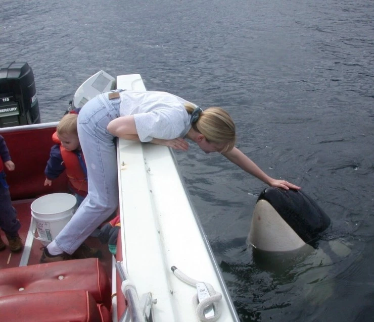 Кит (2011) скачать торрент файл Кит (2011) фильм скачать торрент файл