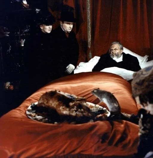 Мальпертюи (1971) в хорошем качестве скачать торрент файл Мальпертюи (1971) фильм в хорошем качестве скачать торрент файл