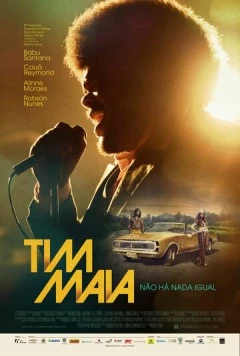 Тим Майа / Tim Maia (2014) фильм скачать через торрет бесплатно в хорошем качестве