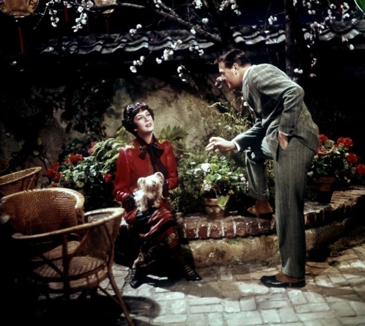 Цыганка (1962) в хорошем качестве скачать торрент файл Цыганка (1962) фильм в хорошем качестве скачать торрент файл