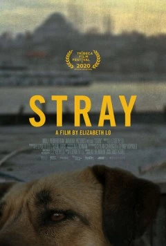 Бродяги / Stray (2020) фильм скачать через торрет бесплатно в хорошем качестве