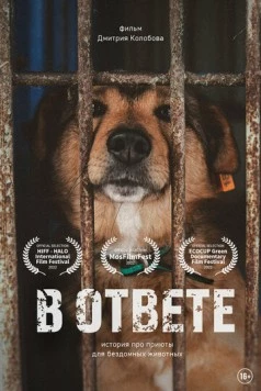 В ответе (2021) фильм скачать через торрет бесплатно в хорошем качестве