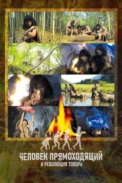 Человек прямоходящий и революция топора / Homo Erectus and the Hand Axe Revolution (2012) фильм скачать через торрет бесплатно в хорошем качестве