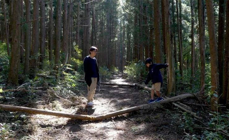 Обещание (2023) скачать торрент бесплатно Обещание (2023) фильм скачать торрент бесплатно