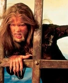 Охота на оборотня (2001) скачать торрент бесплатно Охота на оборотня (2001) фильм скачать торрент бесплатно