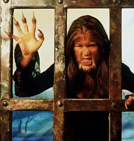 Охота на оборотня (2001) скачать торрент файл Охота на оборотня (2001) фильм скачать торрент файл