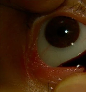 Подопытная свинка: Эксперимент дьявола (1985) скачать торрент файл Подопытная свинка: Эксперимент дьявола (1985) фильм скачать торрент файл