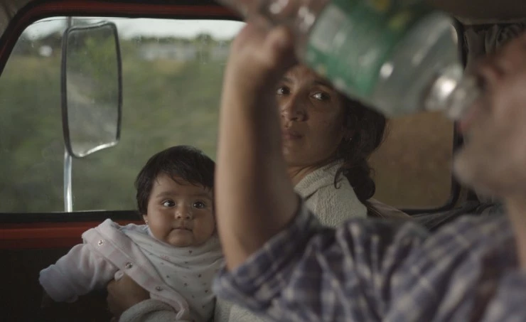 Акации (2011) скачать торрент бесплатно Акации (2011) фильм скачать торрент бесплатно