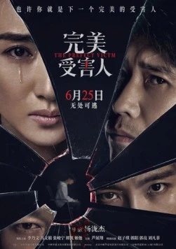 Идеальная жертва / Wan mei shou hai ren (2021) фильм скачать через торрет бесплатно в хорошем качестве