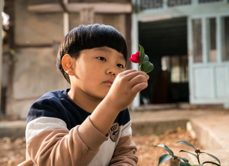 Перезахоронение (2019) в хорошем качестве скачать торрент файл Перезахоронение (2019) фильм в хорошем качестве скачать торрент файл