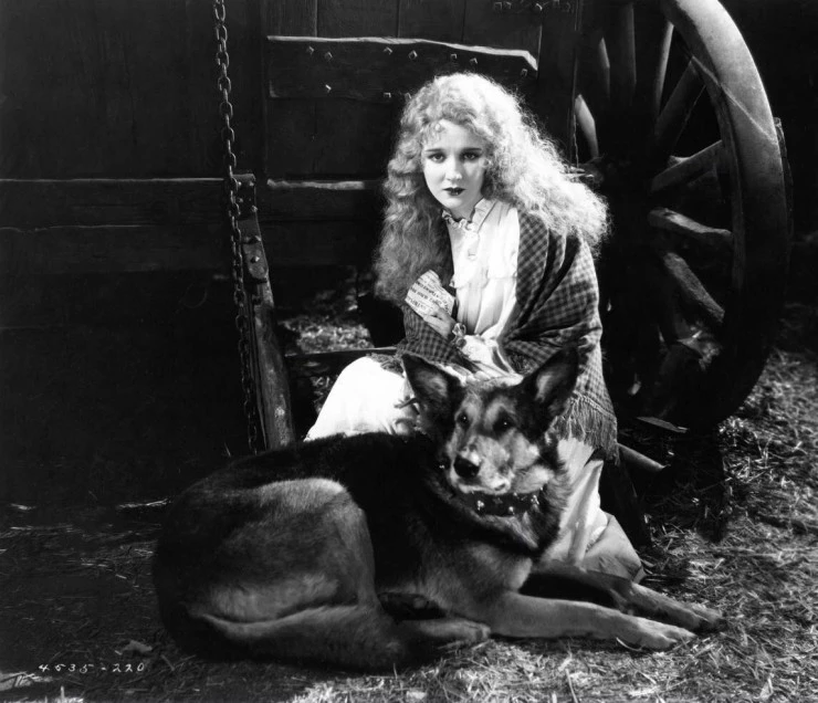 Человек, который смеётся (1928) в хорошем качестве скачать торрент файл Человек, который смеётся (1928) фильм в хорошем качестве скачать торрент файл