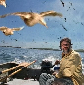 Киногид извращенца (2006) скачать торрент бесплатно Киногид извращенца (2006) фильм скачать торрент бесплатно