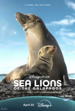 Морские львы Галапагосских островов / Sea Lions of the Galapagos (2025) фильм скачать через торрет бесплатно в хорошем качестве