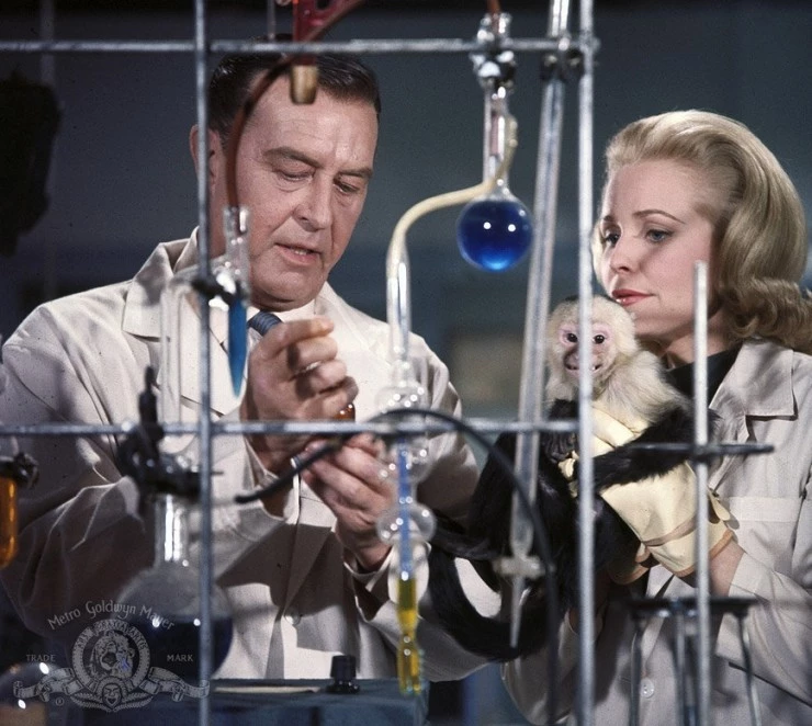 Человек с рентгеновскими глазами (1963) скачать торрент бесплатно Человек с рентгеновскими глазами (1963) фильм скачать торрент бесплатно