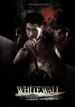 Белая стена / White Wall (2010) фильм скачать через торрет бесплатно в хорошем качестве
