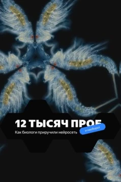 12 тысяч проб (2022) фильм скачать через торрет бесплатно в хорошем качестве
