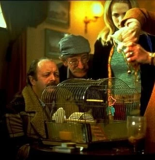 Мистер крыс (2000) скачать торрент бесплатно Мистер крыс (2000) фильм скачать торрент бесплатно