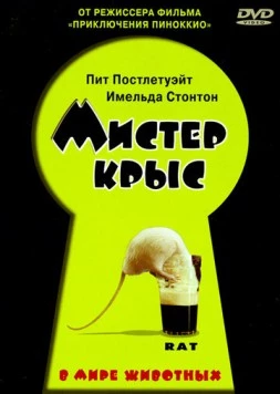 Мистер крыс / Rat (2000) фильм скачать через торрет бесплатно в хорошем качестве