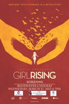 Женское восхождение / Girl Rising (2013) фильм скачать через торрет бесплатно в хорошем качестве