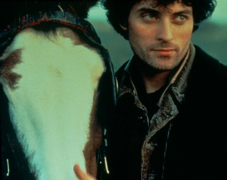 В краю лесов (1997) скачать торрент файл В краю лесов (1997) фильм скачать торрент файл