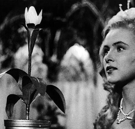 Горделивая принцесса (1952) скачать торрент файл Горделивая принцесса (1952) фильм скачать торрент файл