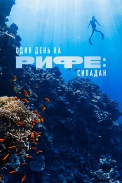 Один день на рифе: Сипадан / A Day on the Reef: Sipadan (2024) фильм скачать через торрет бесплатно в хорошем качестве