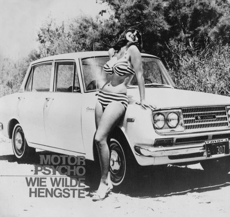 Безумные мотоциклисты (1965) скачать торрент файл Безумные мотоциклисты (1965) фильм скачать торрент файл