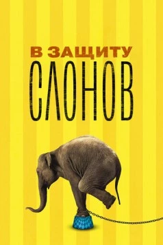 В защиту слонов / An Apology to Elephants (2013) фильм скачать через торрет бесплатно в хорошем качестве