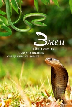 Змеи. Тайны самых смертоносных созданий на земле / Snakes, Secrets of Nature’s Deadliest Creatures (2014) фильм скачать через торрет бесплатно в хорошем качестве