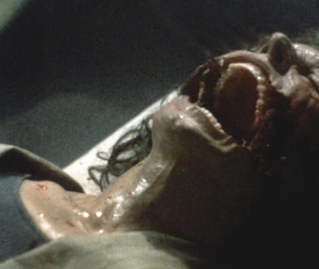 Ночной полёт (1987) в хорошем качестве скачать торрент файл Ночной полёт (1987) фильм в хорошем качестве скачать торрент файл