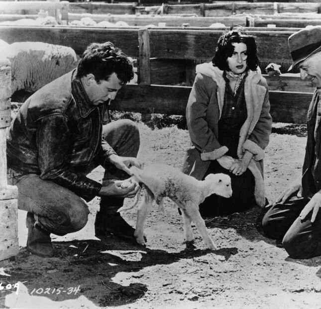 Дикий ветер (1957) скачать торрент файл Дикий ветер (1957) фильм скачать торрент файл